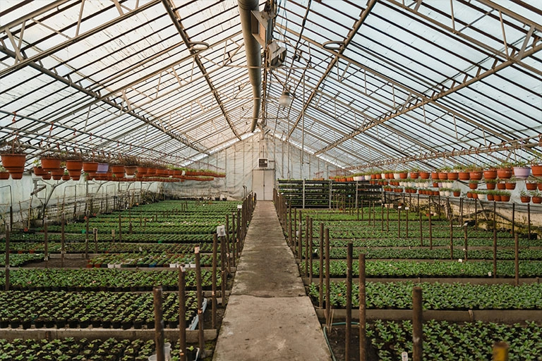 Greenhouses